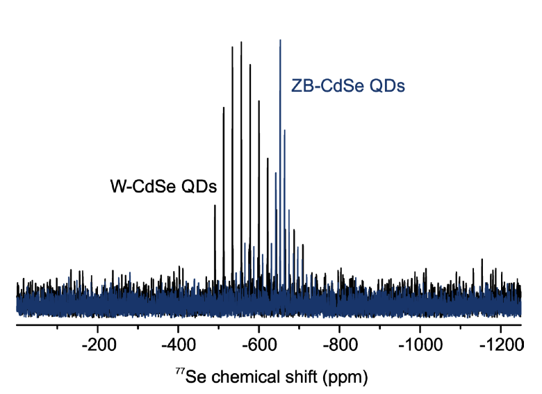 Enlarged view: DNP enhanced <sup>1</sup>H-<sup>77</sup>Se CP-CPMG spectra of phosphonate-capped WZ-CdSe quantum dots (black) and oleate-capped ZB-CdSe quantum dots (dark blue). &nbsp;