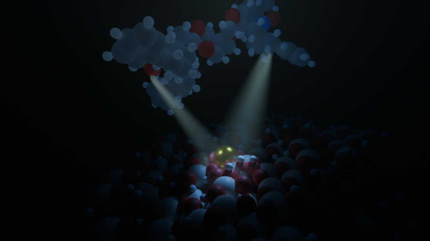DNP-render